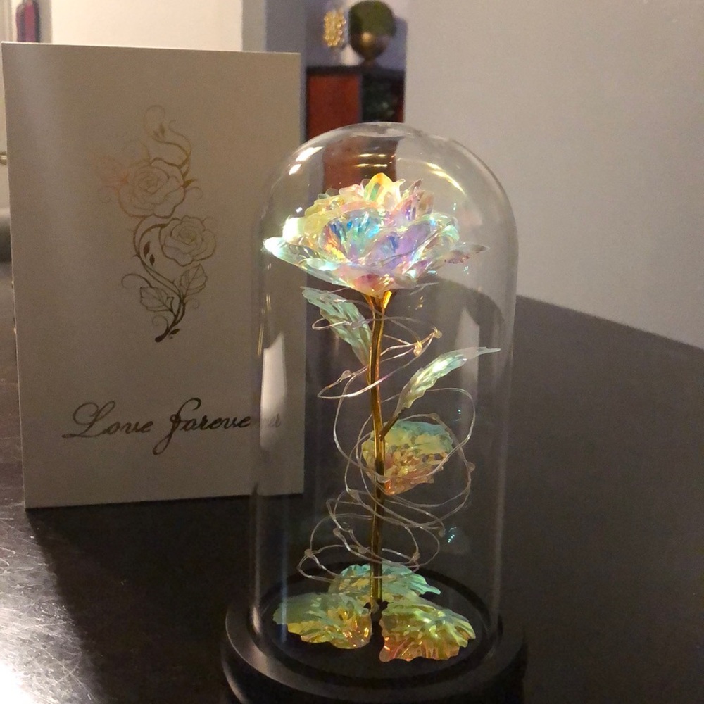 Beauty And The Beast Galaxy Rose - image 5